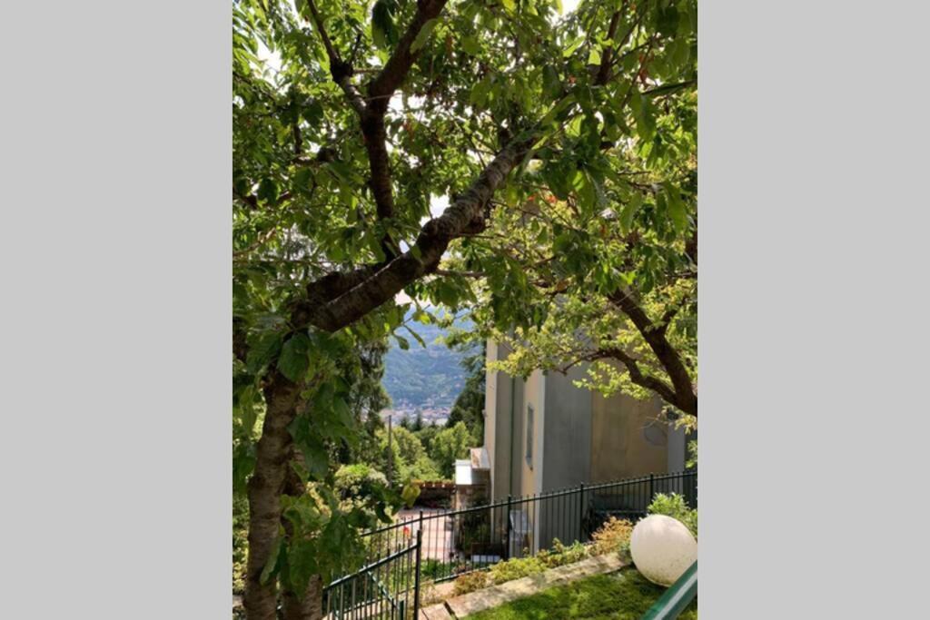 The Cherry Garden House Loft Lusso Apartman Brunate Kültér fotó